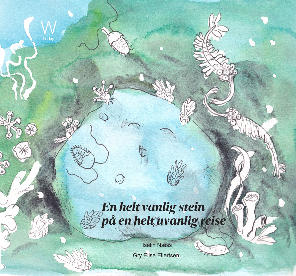 En helt vanlig stein - på en helt uvanlig reise