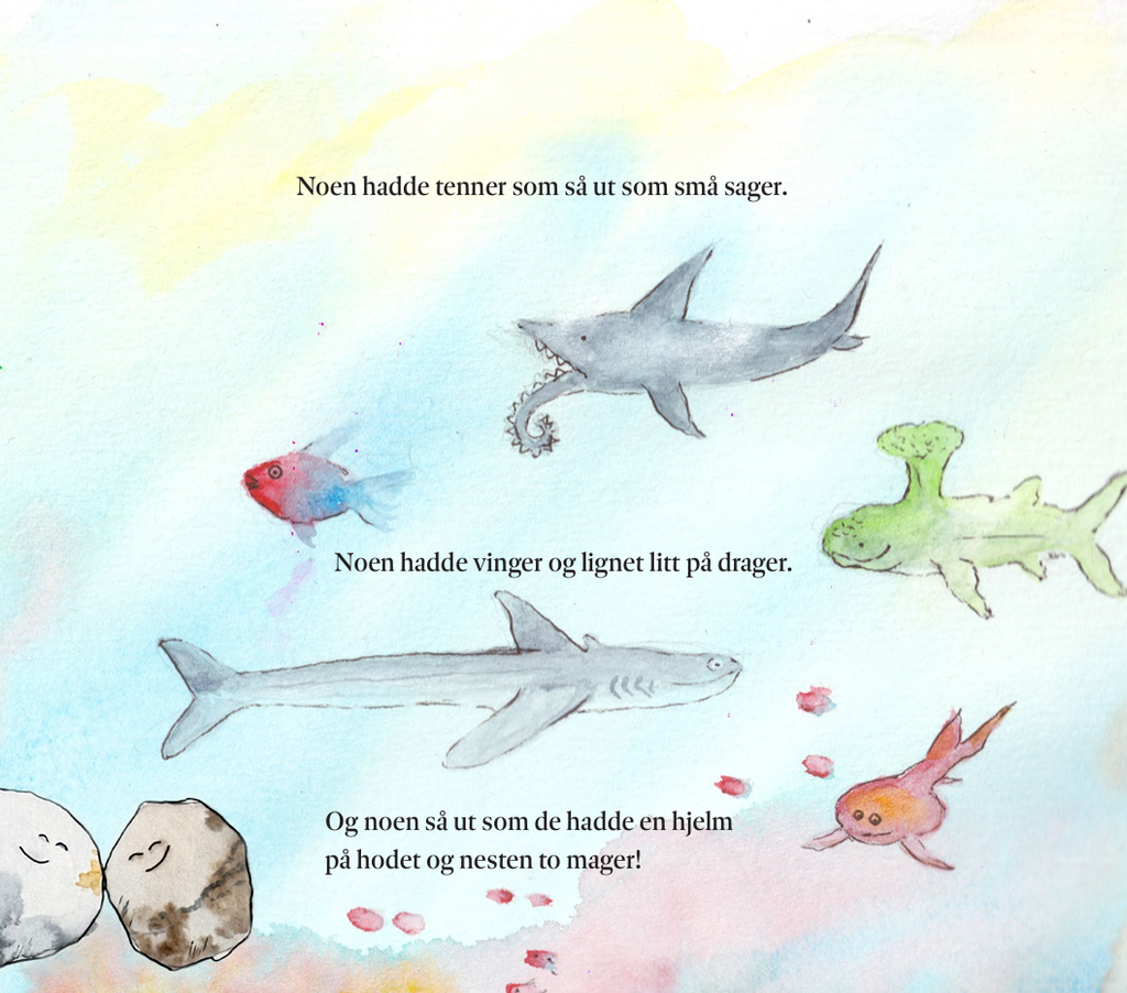 En helt vanlig stein - på en helt uvanlig reise