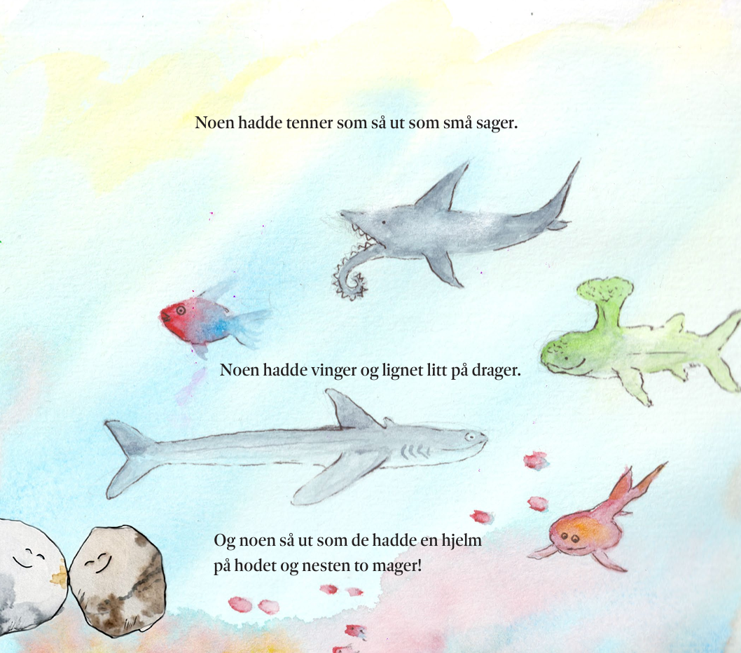 En helt vanlig stein - på en helt uvanlig reise