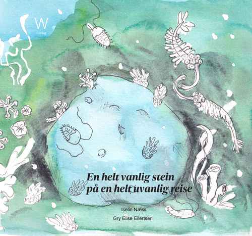 En helt vanlig stein - på en helt uvanlig reise