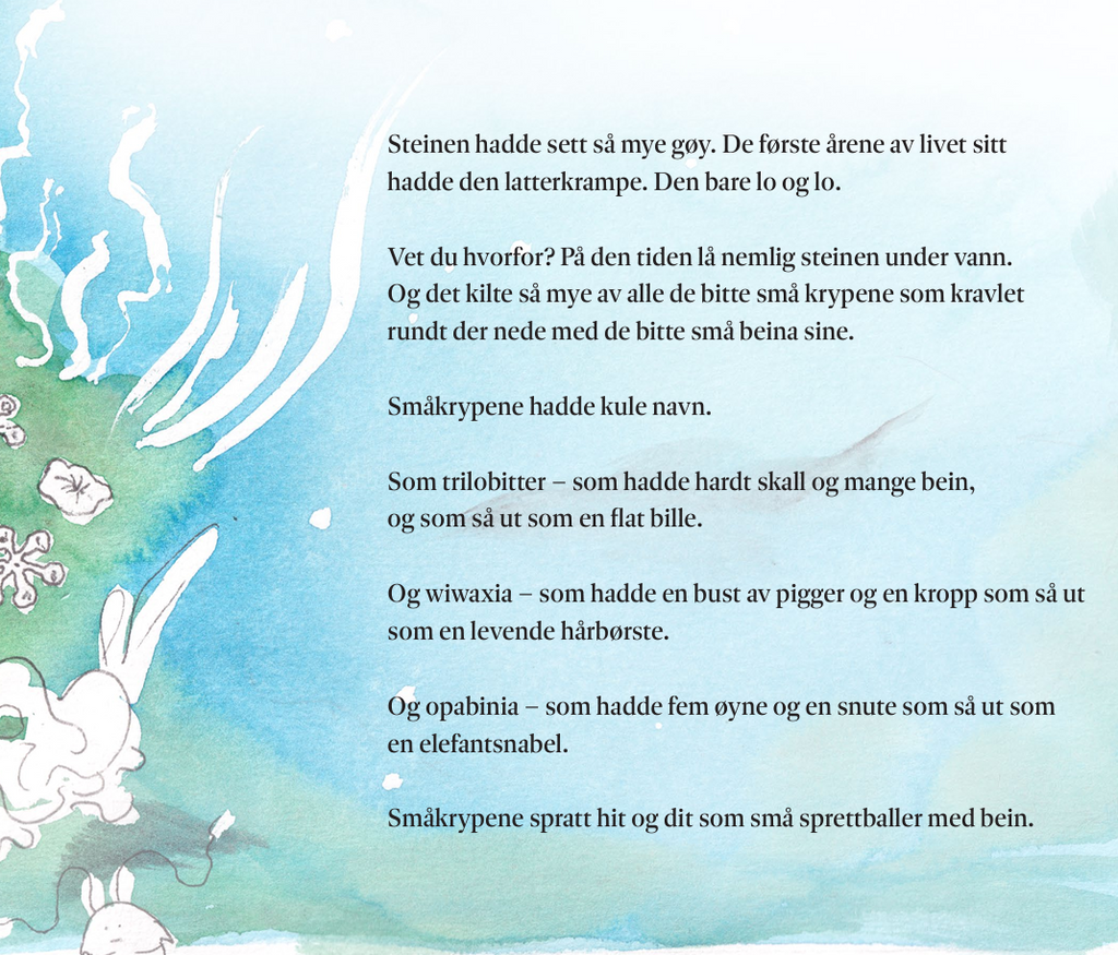 En helt vanlig stein - på en helt uvanlig reise