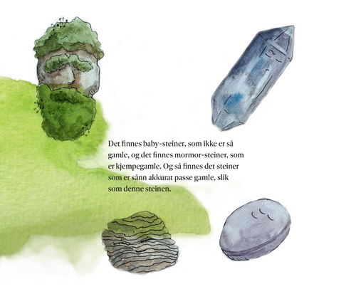 En helt vanlig stein - på en helt uvanlig reise